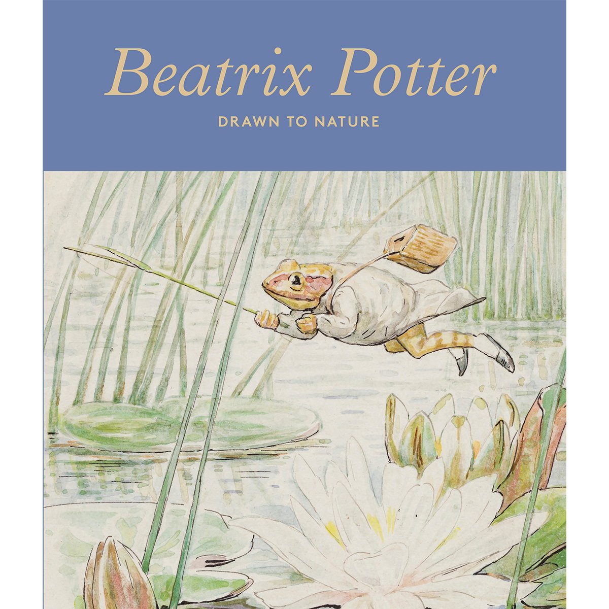 Beatrix Potter: Drawn to Nature - exhibition book