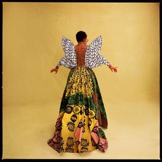 A person stands back to camera, with a brown and black patterned top with white wings with black crossed lines. 